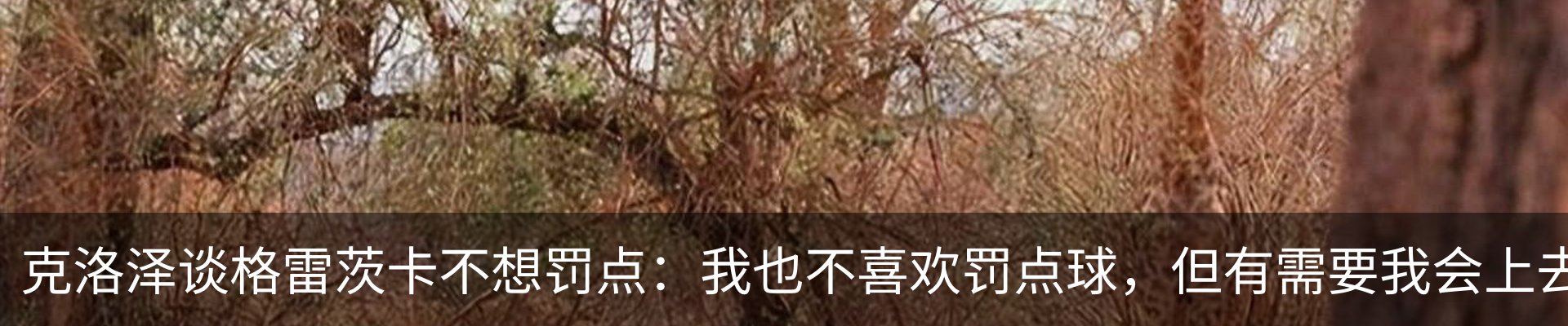 资讯中心